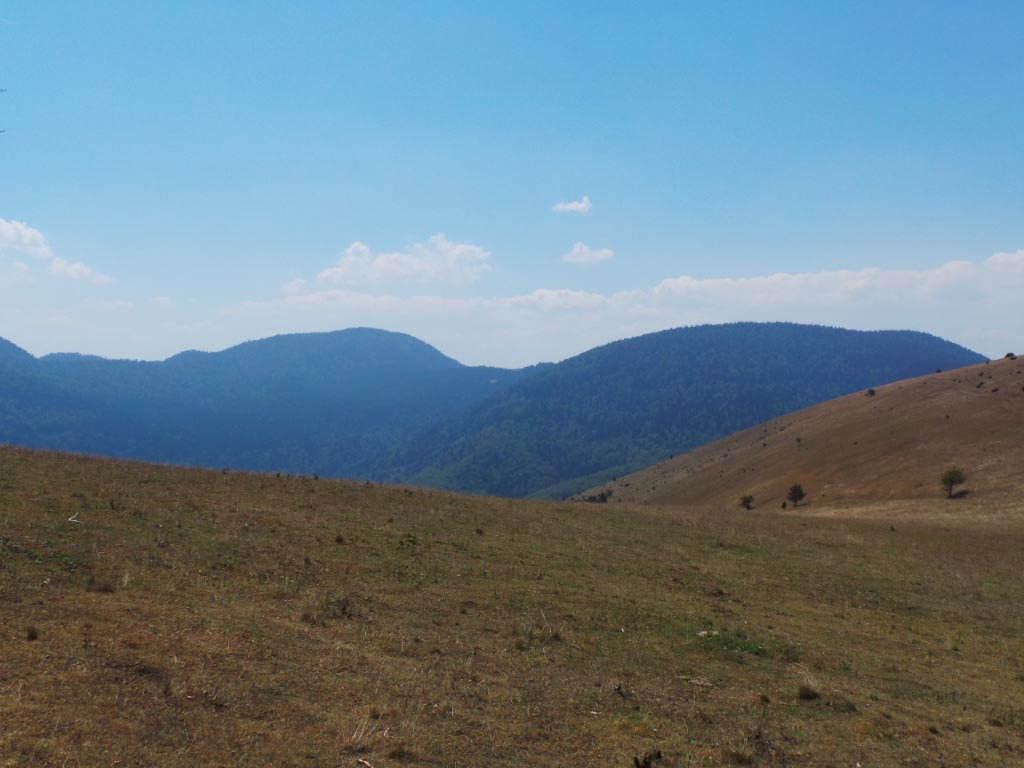 Kupreška visoravan – Obronci Stožera i Crnog Vrha (foto: Predrag Bratić)