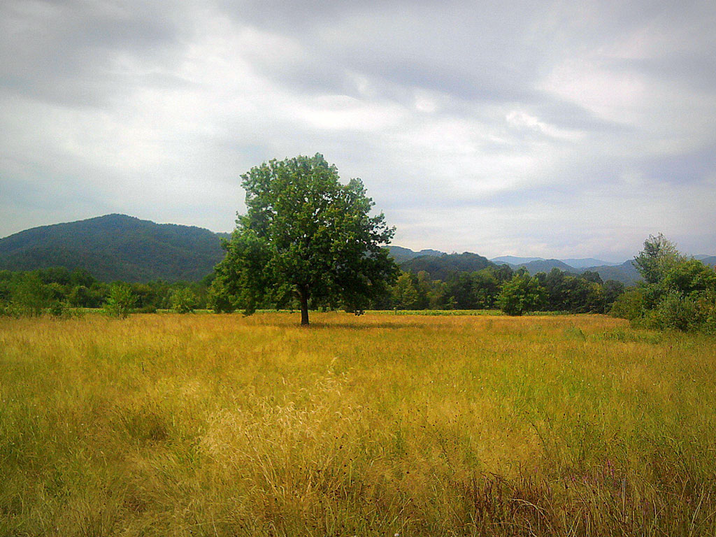 Utorak, 3. septembar 2013. / Slađana Gavrić, Teslić