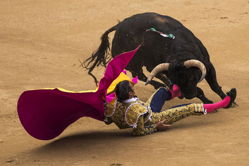 Ko je ovdje heroj? Matador ili bik? Španska korida u svom najboljem izdanju!