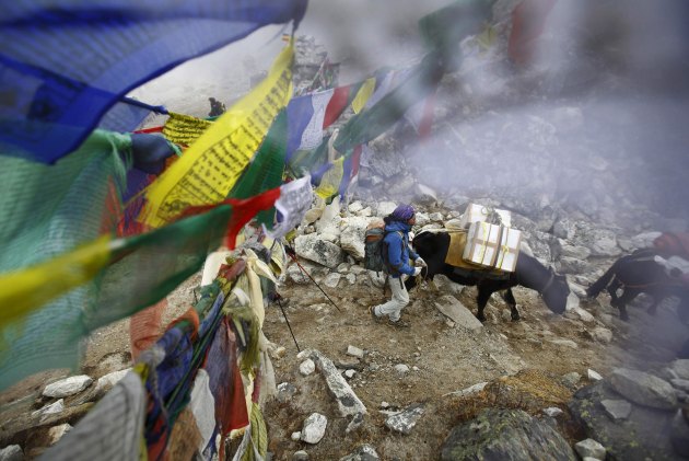 U aprilu ove godine lavina je usmrtila 16 nepalskih Šerpasa vodiča dok su popravljali užad i transportnu opremu za strane klijente koji žele da savladaju 8.850 metara visok vrh...