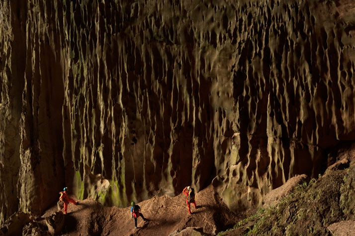 U pećini vlada posebna klima i u njoj žive brojne biljne i životinjske vrste.