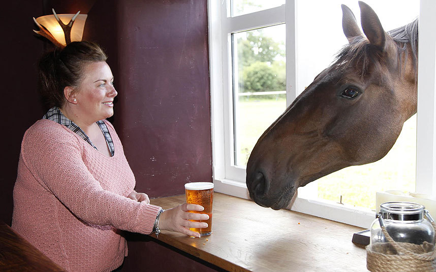Sjeverni Vels: Konj Gilbret živi u polju uz čiji put se nalazi kafana i redovno svraća na pivo. Na slici: menadžerka lokala Erika Barnej i čistokrvi  Gilbert. (Foto: Mercury)