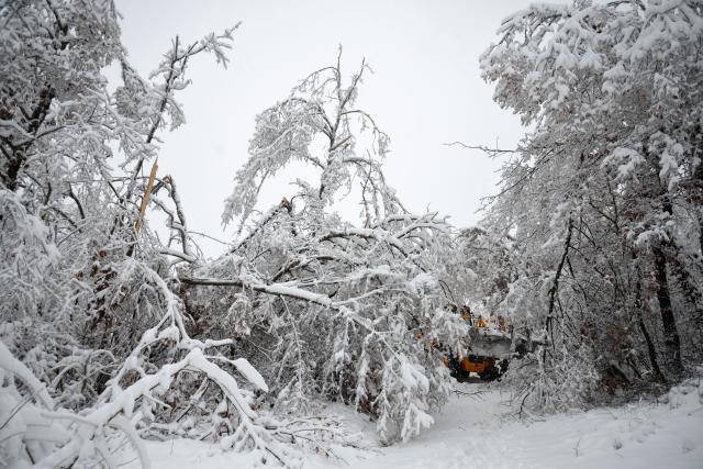 Opština Knjaževac pogođena je sniježnim nevremenom