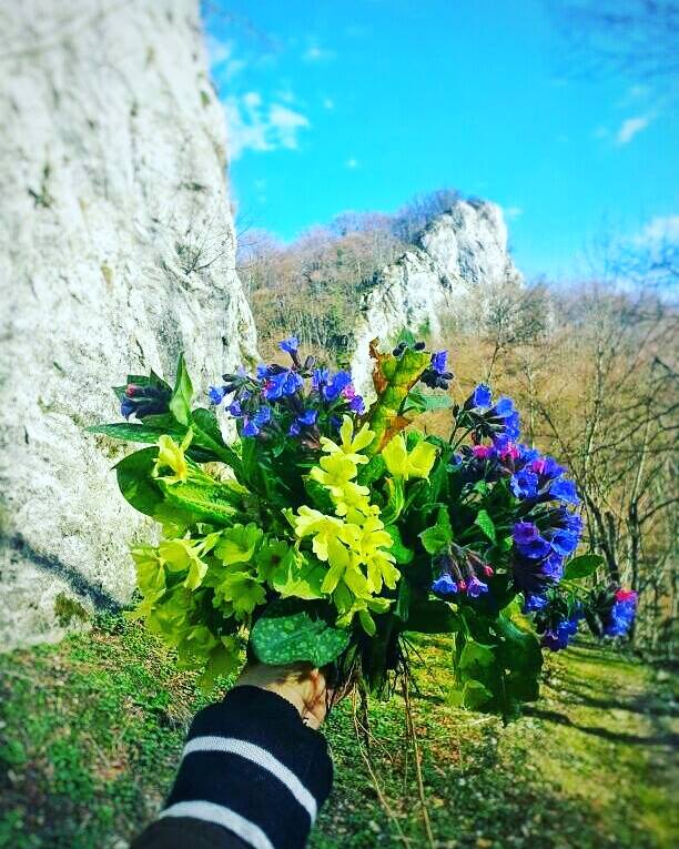 Utorak, 22.mart 2016. / Danijela Vignjević, Prijedor - Proljeće na Kozari...