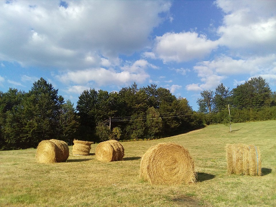 Ponedjeljak, 4. septembar 2017. / Kosana Ćelić, Rađići kod Kneževa