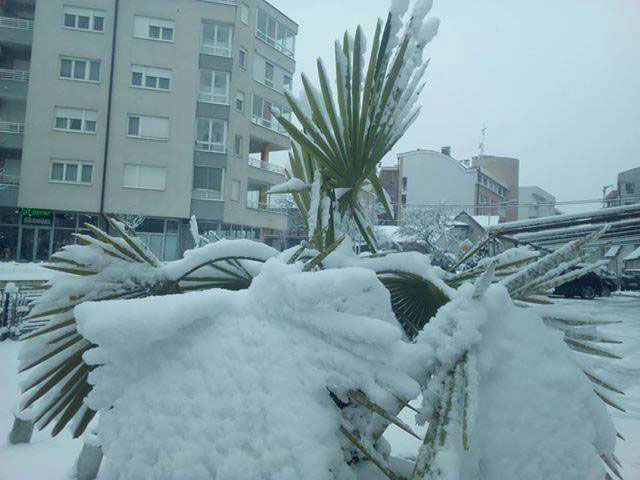 Banja Luka jutros (Foto:Igor Tadić/facebook.com)