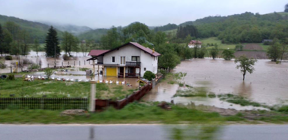 Јošavka, Šnjegotina (foto: Slađan Dević)