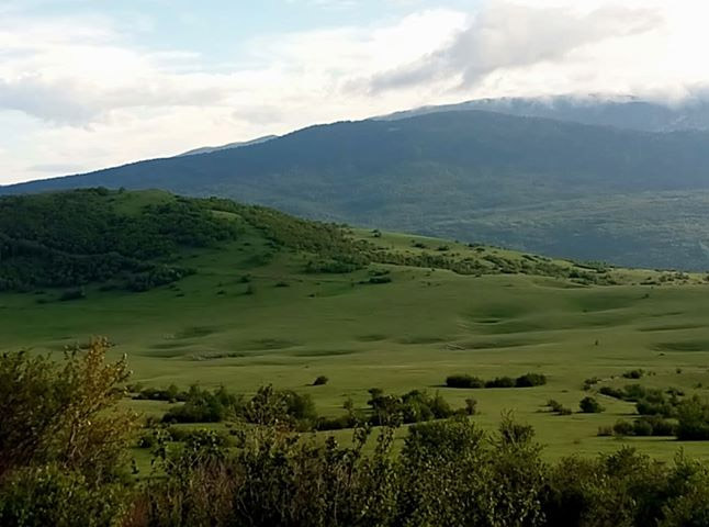 Srijeda, 19. juni 2019. / Neđo Trivunović Okolina sela Zajaruga kod Glamoča