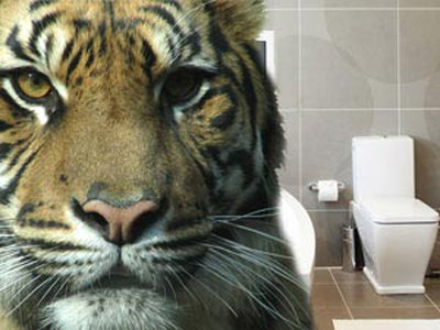 Tigar u toaletu (ilustracija) - 