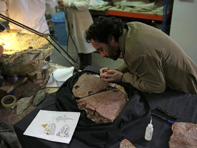 Fosil džinovskog vodozemca otkriven u Portugalu - Foto: AP
