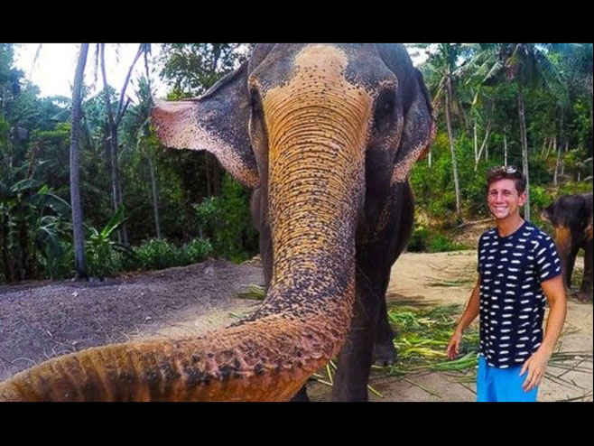 Slon ukrao telefon i napravio selfi Foto: christian_leblanc / Instagram) - 