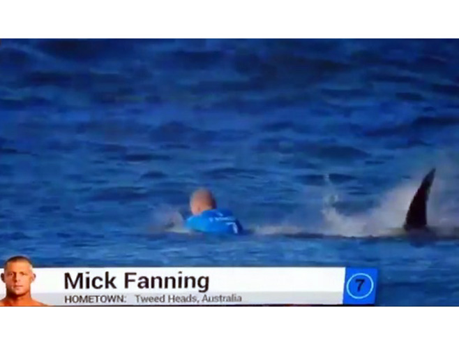 Ajkule napale australijskog surfera (Foto: Fox Sports) - 