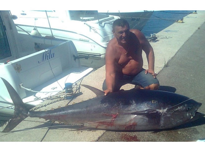 Tuna teška 133 kilograma - Foto: nezavisne novine