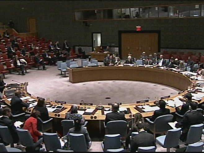 Savjet bezbjednosti UN - Foto: Screenshot