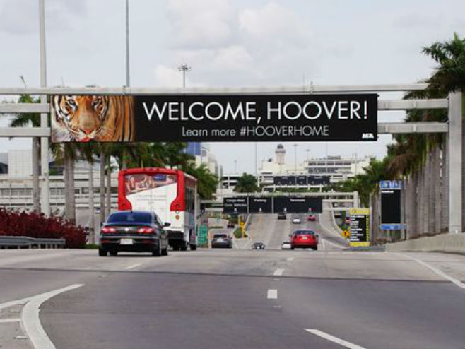 Doček tigra Huvera u Majamiju (Foto: Miami International Airport) - 