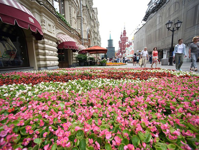 Festival cvijeća u Moskvi (Foto: Sputnik/Ekaterina Česnokova) - 