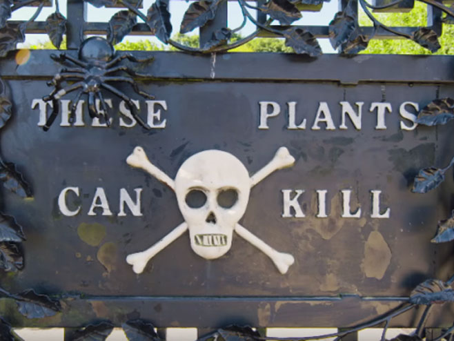Vrt smrti je najopasnija atrakcija na svijetu - Foto: Screenshot/YouTube
