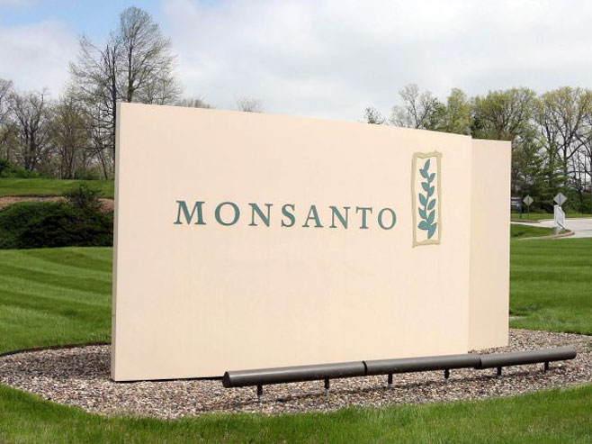 Monsanto (foto: ekonomskevesti.com) - 