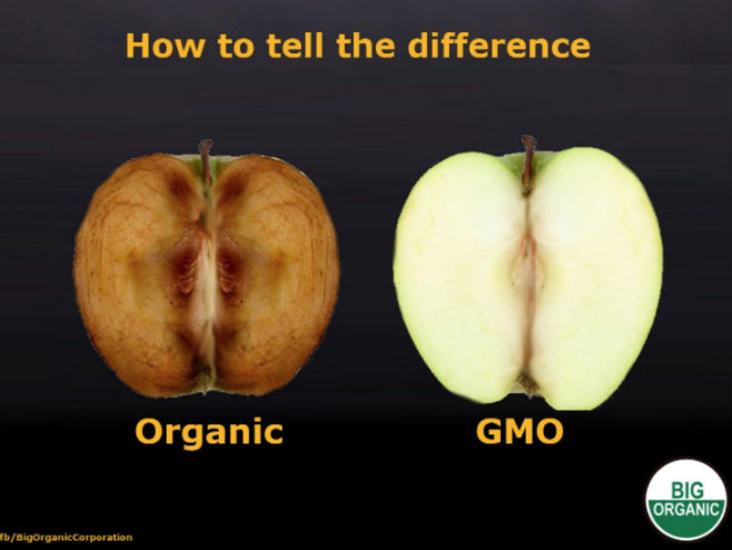 Razlika između organske i modifikovane jabuke (Foto:  Big Organic) - 