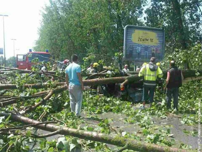 Novi Sad: Žena stradala kada je drvo palo na automobil (Foto: RTS / NSU - Uživo sa novosadskih ulica) - 