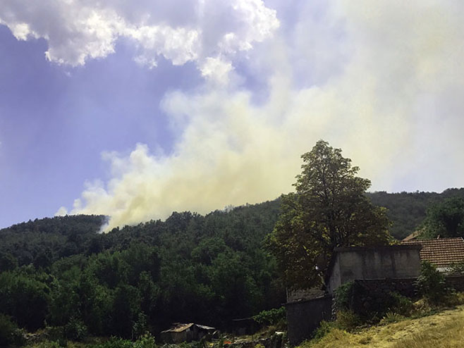 Cetinje, požar - Foto: SRNA
