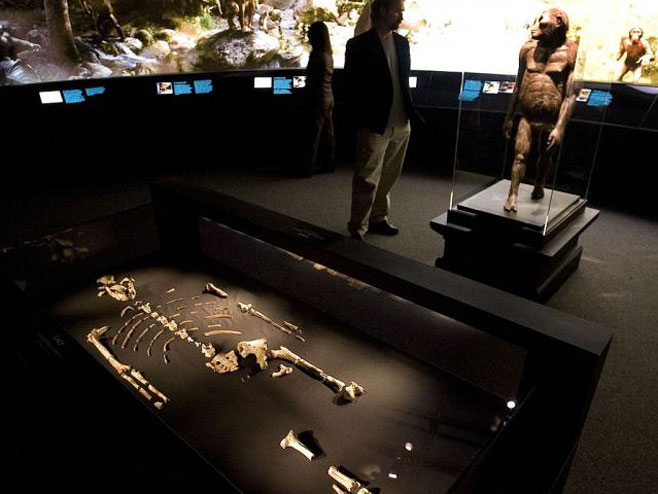 Novo otkriće može da promijeni sve što znamo o evoluciji čovjeka - Foto: Getty Images
