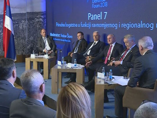 Petar Đokić na panel diskusiji - Foto: RTRS