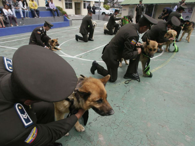 Policijski psi u Ekavdoru otišli u penziju - Foto: AP