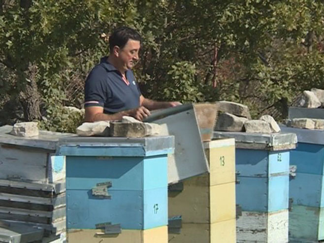 Hercegovački pčelari - Foto: RTRS