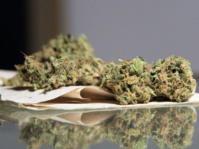 Marihuana - Foto: nezavisne novine