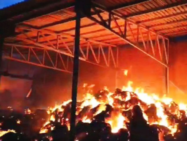Požar u Omoljici - Foto: RTS