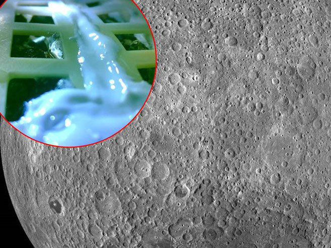 Biljke na Mjesecu (Foto:NASA/CLEP) - 