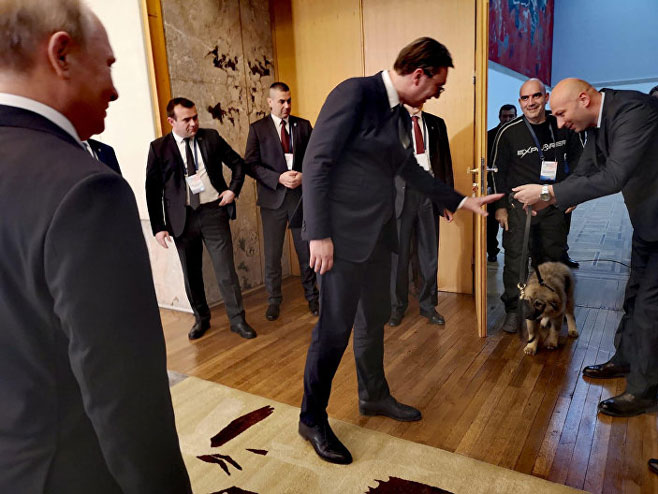 Putin i Paša (foto: Predsjedništvo Srbije) - 