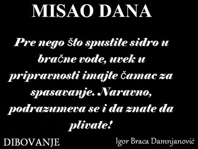 Aforizam Igora Damnjanovića (Foto:dibovanje.blogspot.com) - 