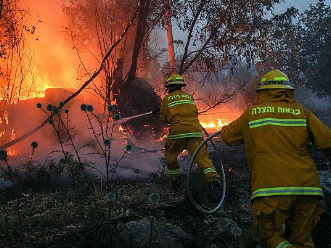 Šumski požar u Izraelu (Foto: Yonatan Sindel/Flash90) - 