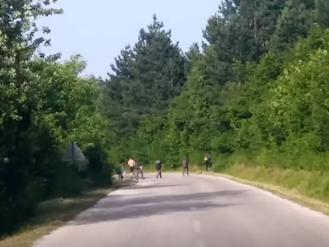 Migranti bježe u šumu prema hrvatskoj granici (foto:Dnevni avaz) - Foto: dnevni avaz