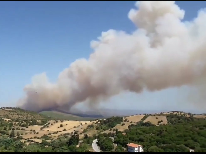 Grčka-požar - Foto: Screenshot/YouTube