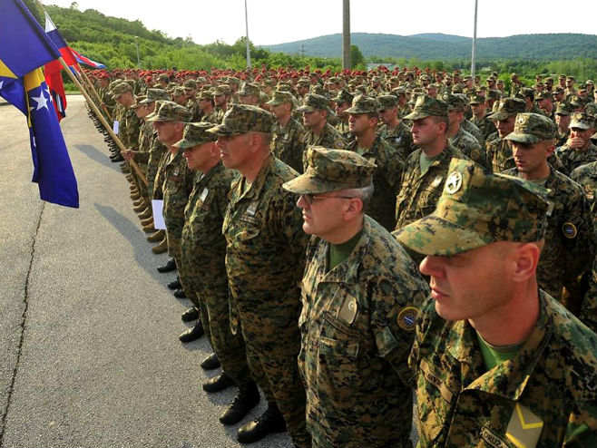 Vojna vježba "Immediate Response" 19 u Hrvatskoj (Foto: HV/V. Jovanovac) - 