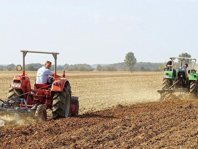 Poljoprivredna proizvodnja (foto:banjaluka.net) - 