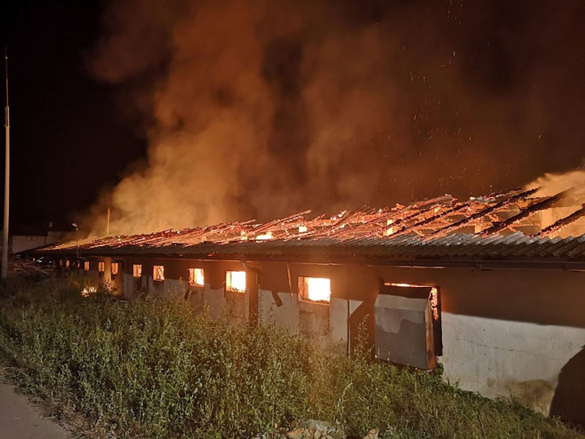 Užasan požar u Romanovcima (Foto:micromreza.com) - 