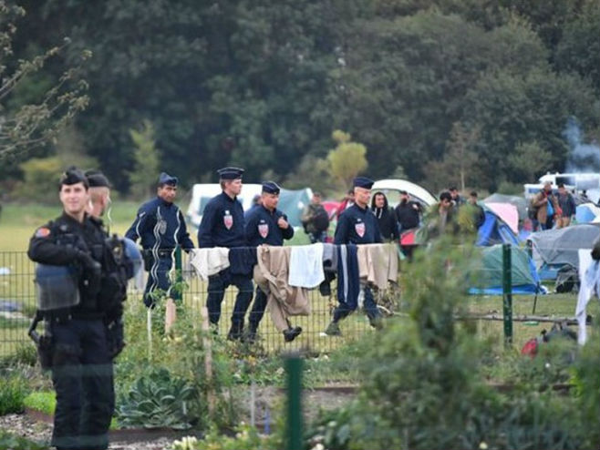 Policija uklanja migrantski kamp kod Dankerka (Foto: Daily Mirror) - 