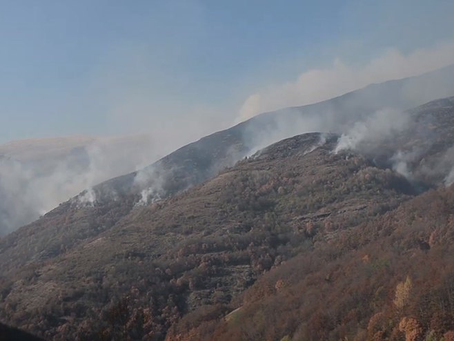 Požar na Staroj planini - Foto: Screenshot
