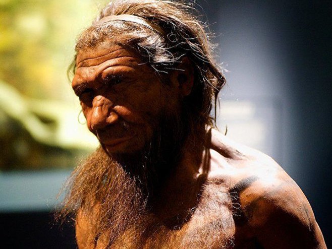 Neandertalac (Foto: CC BY-SA 2.0/Paul Hudson/Our Cousin -Neanderthal) - 