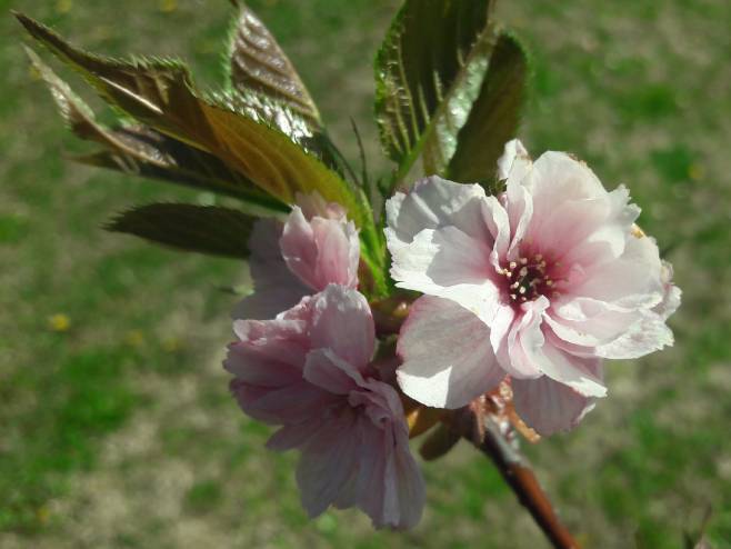 Sunčano - Foto: RTRS