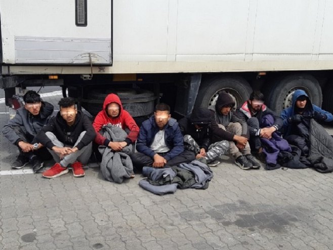 Migranti otkriveni u tovaru kupusa (foto:carina.rs) - 