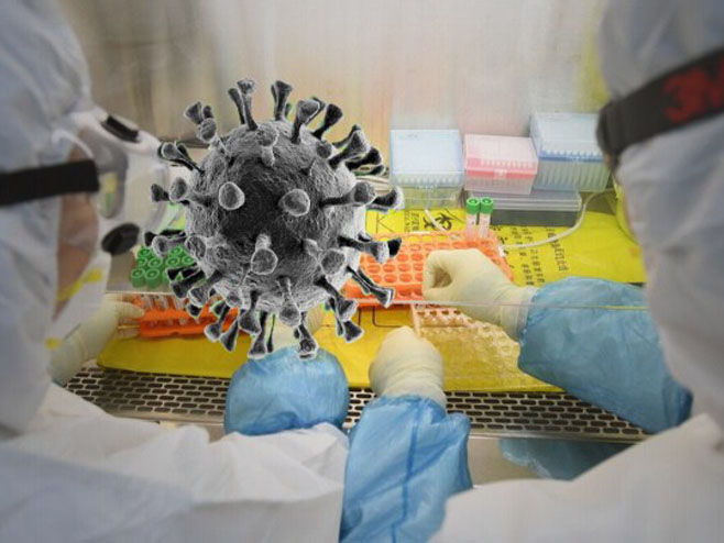 Korona virus - Foto: RTRS