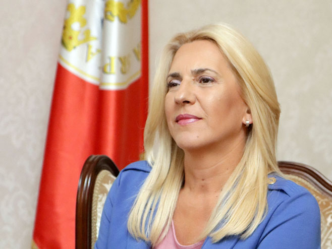 Cvijanović: Srpska usmjerena na jačanje energetskih kapaciteta i institucija