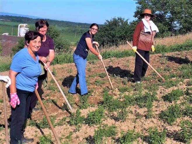 "Farma dva" - projekat obuke u proizvodnji ljekovitog bilja - Foto: SRNA