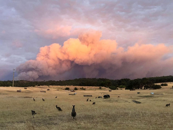 Požar u Australiji - Foto: Twitter