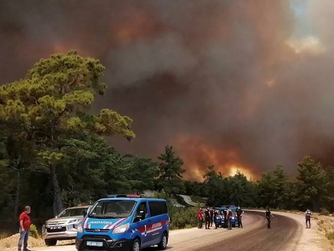 Požar u Turskoj (Foto: rs.sputniknews.com) - 